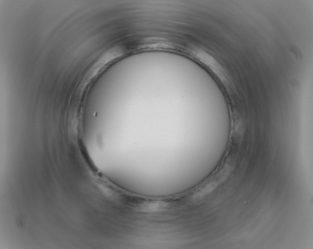 X0000113961282200910091621