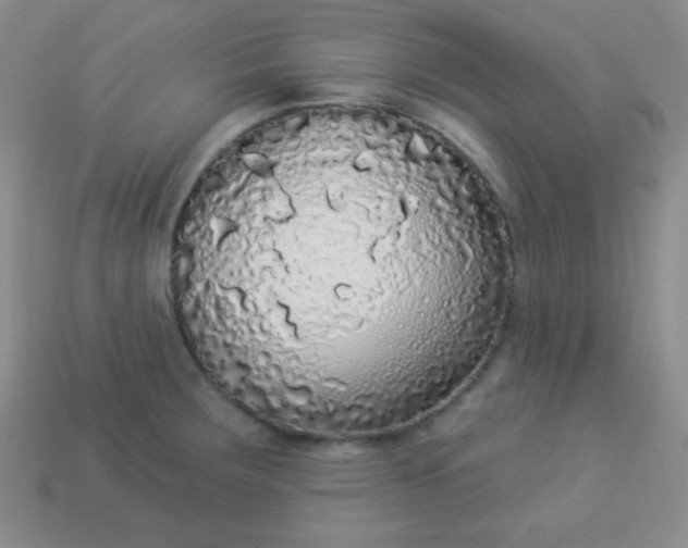 X0000113961283200910091621