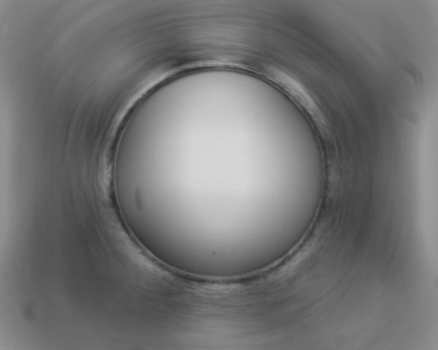 X0000113961284200910091621