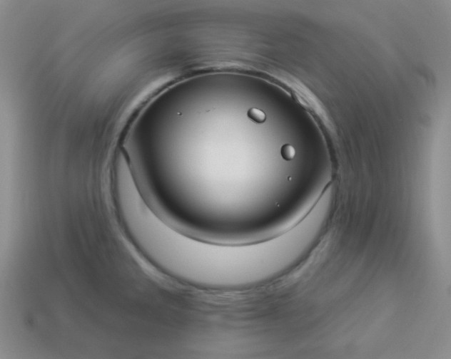 X0000113961285200910091621