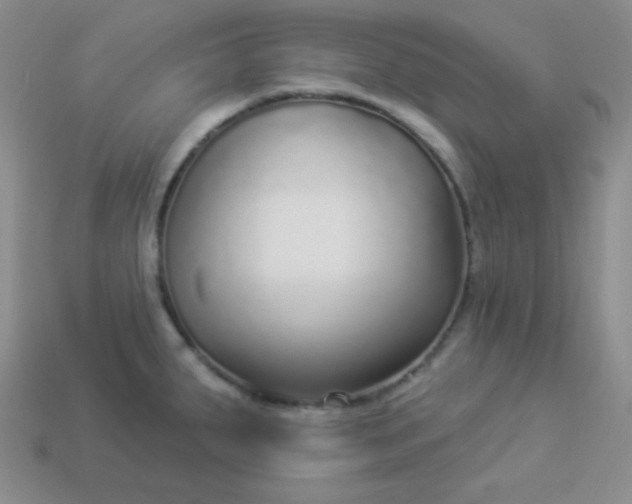 X0000113961287200910091621