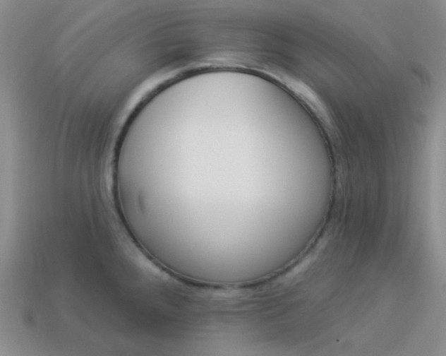 X0000113961288200910091621