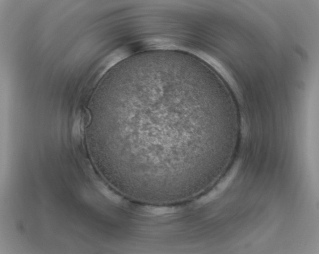 X0000113961289200910091621