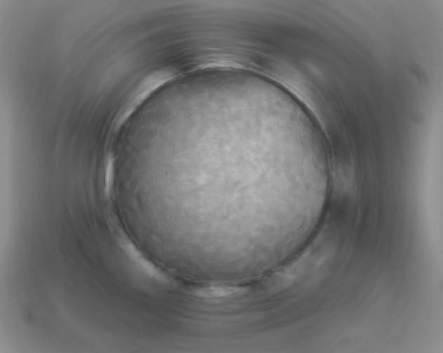 X0000113961290200910091621