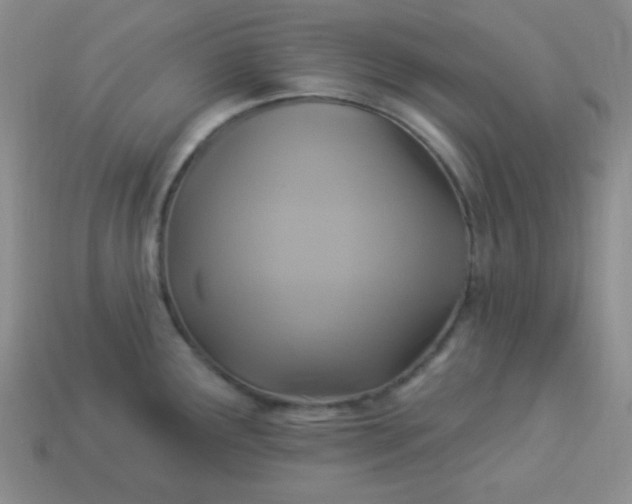 X0000113961291200910091621