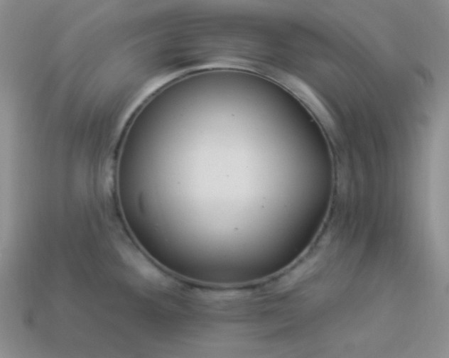 X0000113961292200910091621