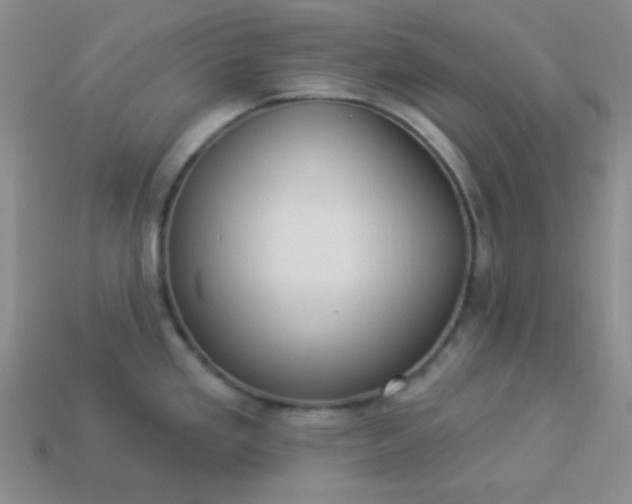 X0000113961293200910091621