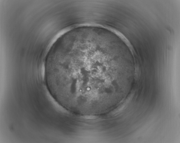 X0000113961295200910091621