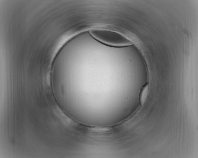 X0000113961296200910091621