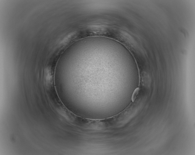 X0000113961298200910091621