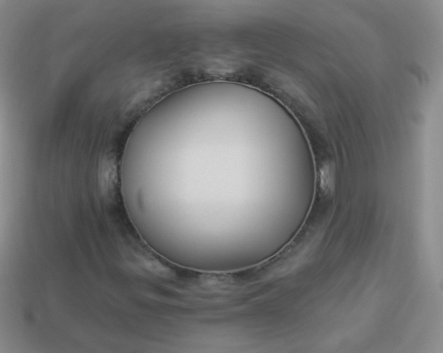 X0000113961299200910091621