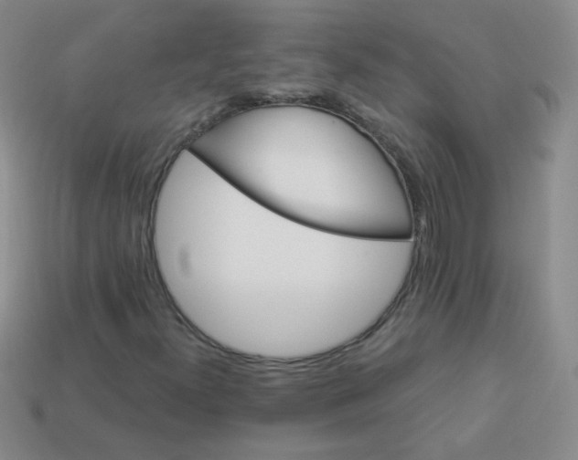 X0000113961300200910091621