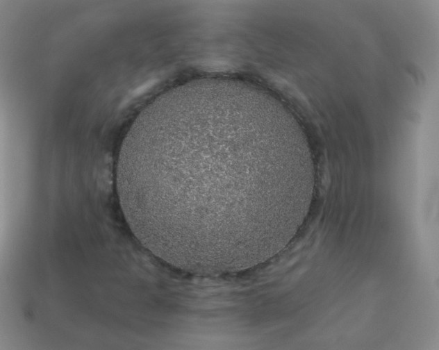 X0000113961301200910091621