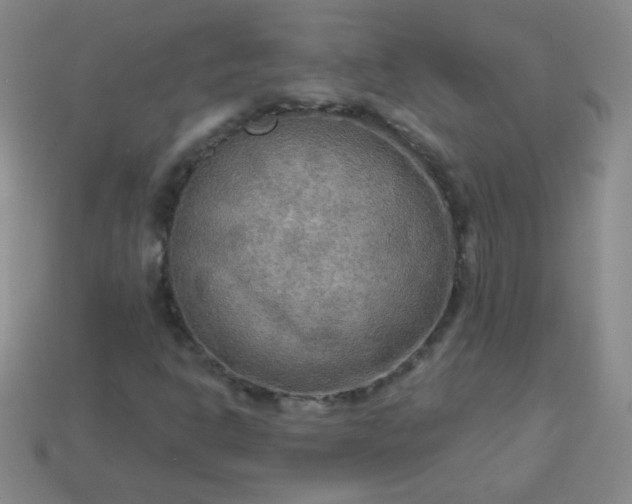 X0000113961302200910091621