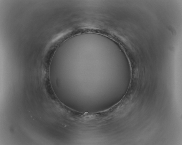 X0000113961303200910091621