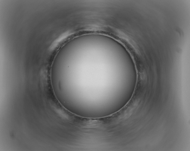 X0000113961304200910091621