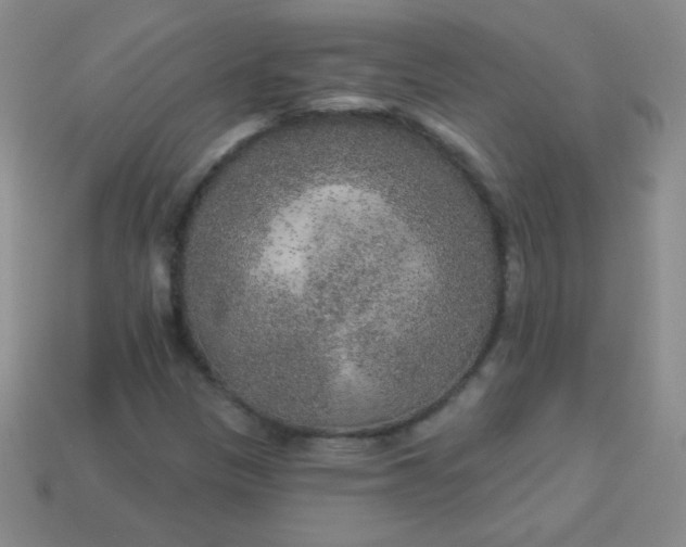 X0000113961305200910091621