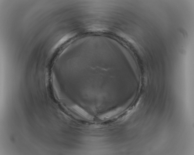 X0000113961306200910091621