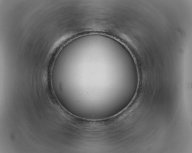 X0000113961307200910091621