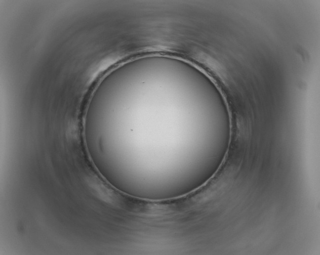 X0000113961308200910091621