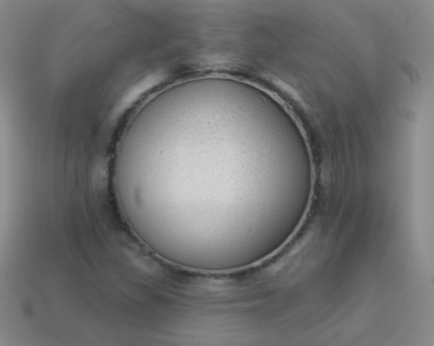 X0000113961309200910091621