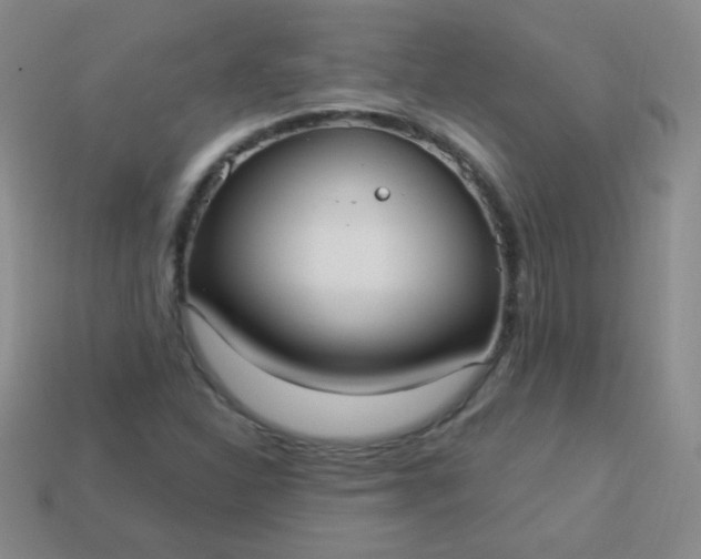 X0000113961310200910091621