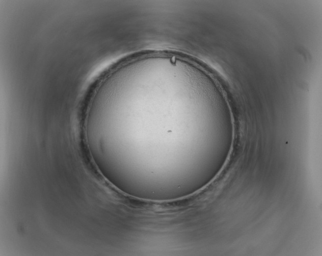 X0000113961311200910091621