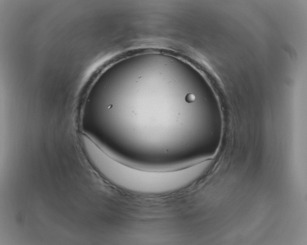 X0000113961312200910091621