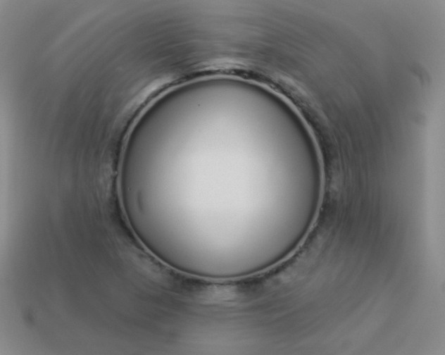 X0000113961313200910091621