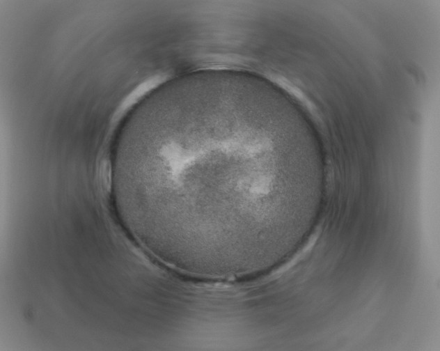 X0000113961317200910091621