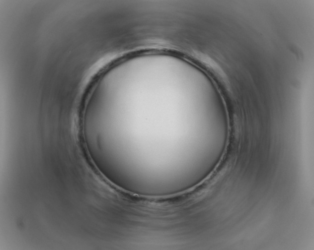 X0000113961318200910091621