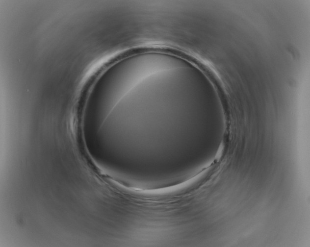 X0000113961319200910091621