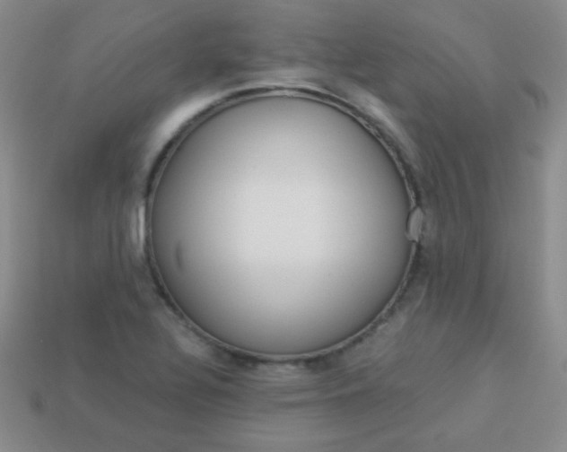 X0000113961320200910091621