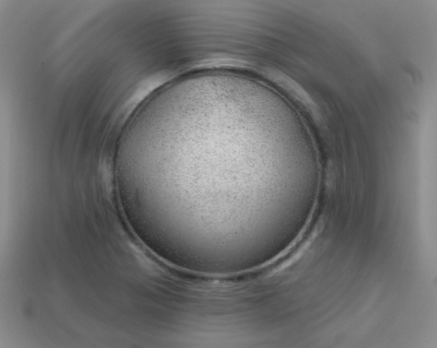 X0000113961321200910091621