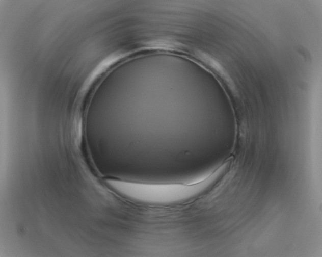 X0000113961323200910091621