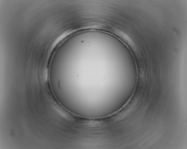 X0000113961324200910091621