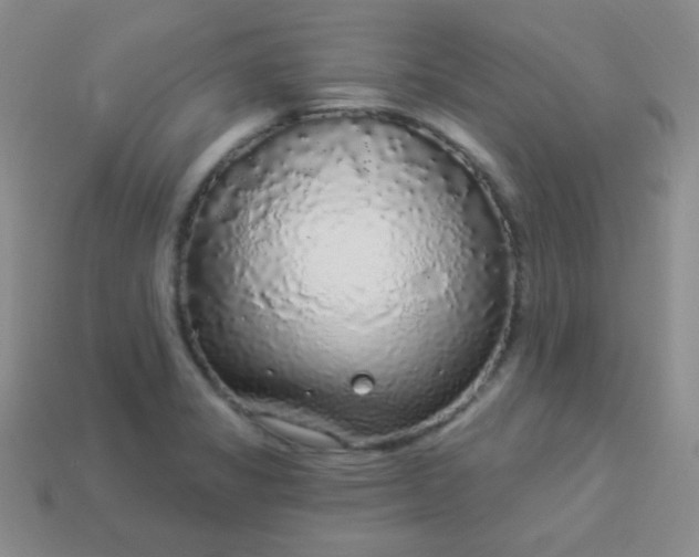 X0000113961325200910091621