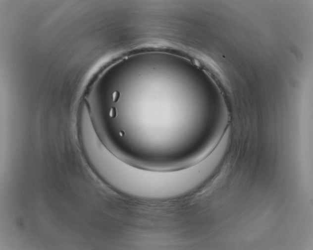 X0000113961326200910091621