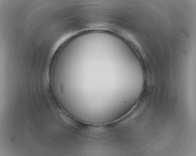 X0000113961328200910091621