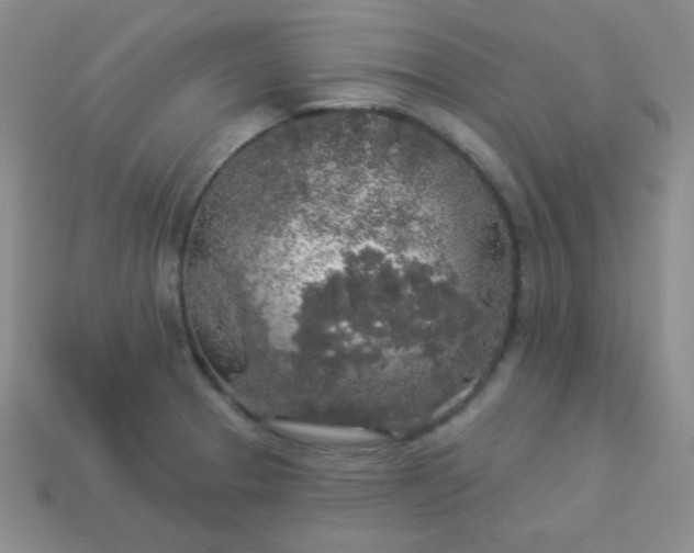 X0000113961329200910091621