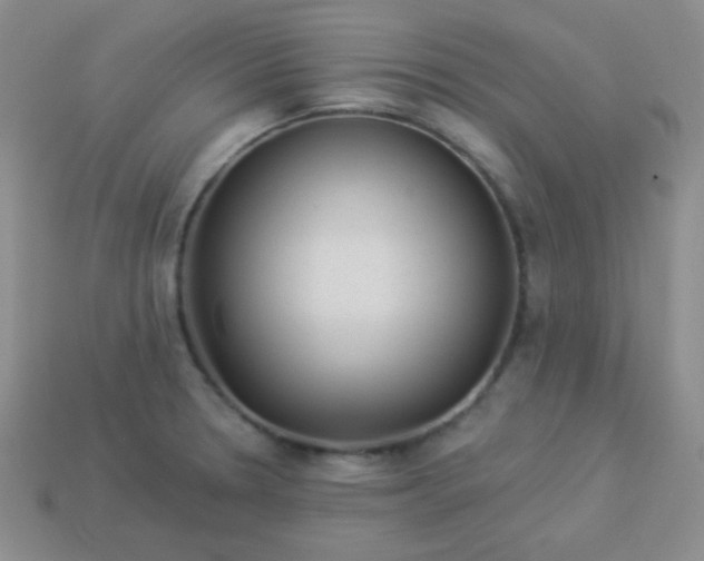 X0000113961330200910091621