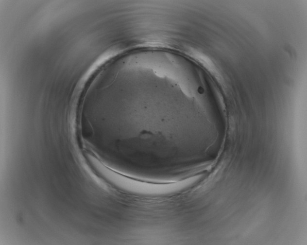 X0000113961331200910091621