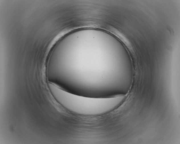 X0000113961332200910091621