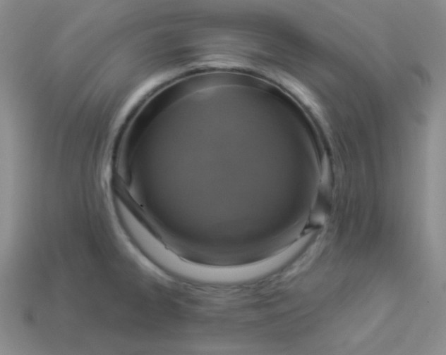 X0000113961334200910091621