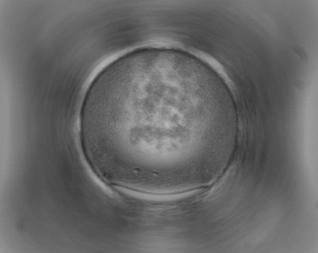 X0000113961335200910091621