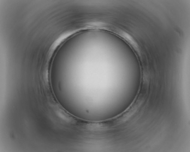 X0000113961336200910091621