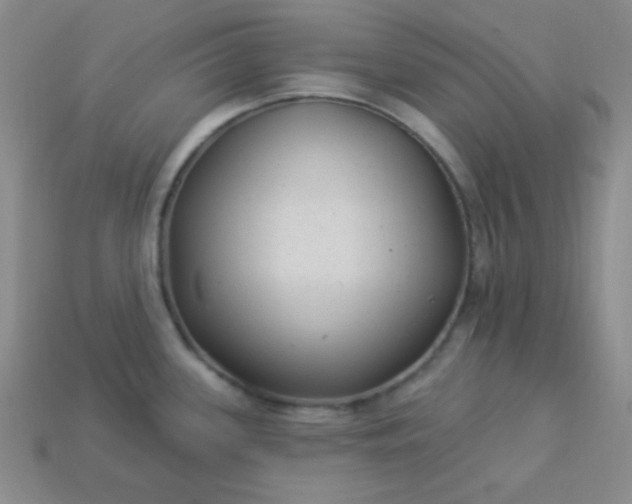 X0000113961339200910091621