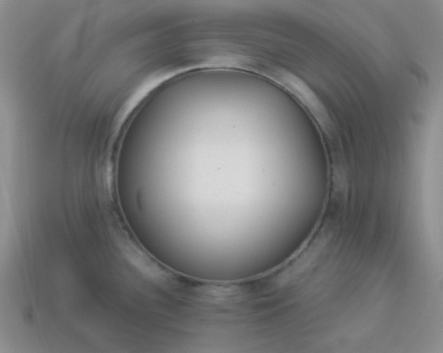 X0000113961340200910091621