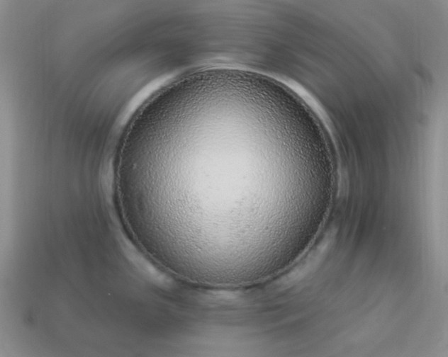 X0000113961341200910091621