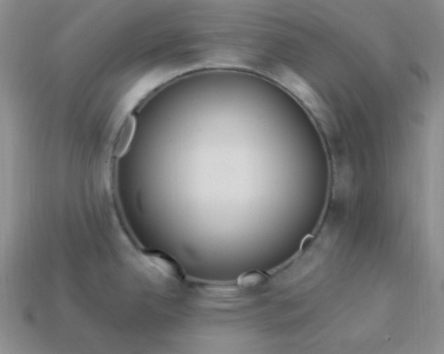 X0000113961342200910091621